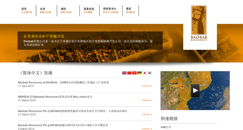 multilanguage ir website